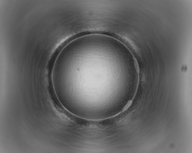 X0000091330684200708171351