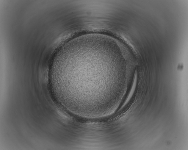 X0000091330685200708171351