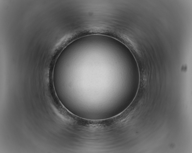 X0000091330686200708171351