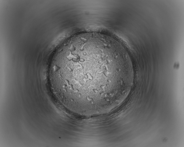 X0000091330687200708171351