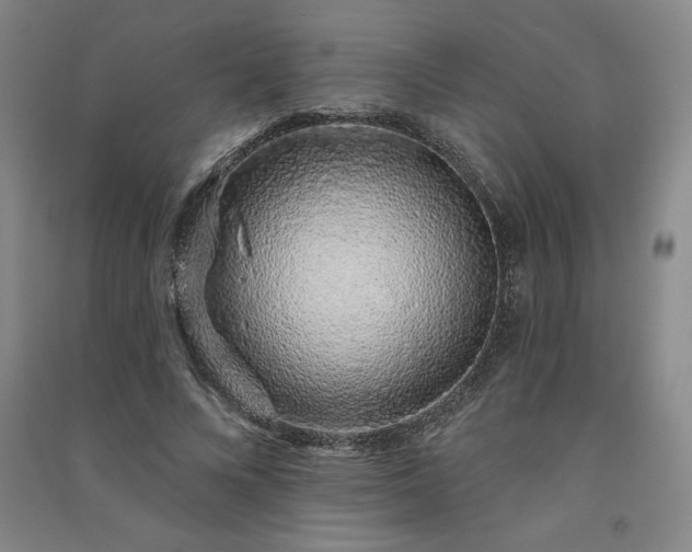 X0000091330688200708171351