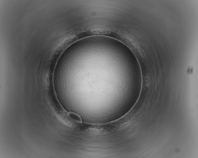 X0000091330690200708171351