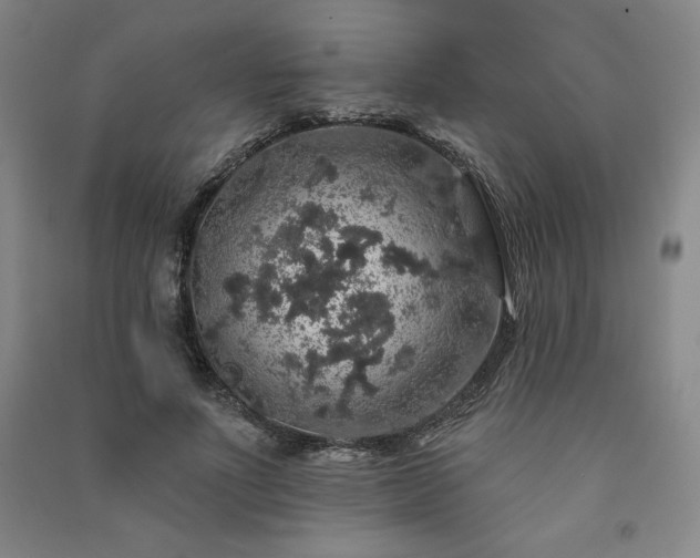 X0000091330691200708171351