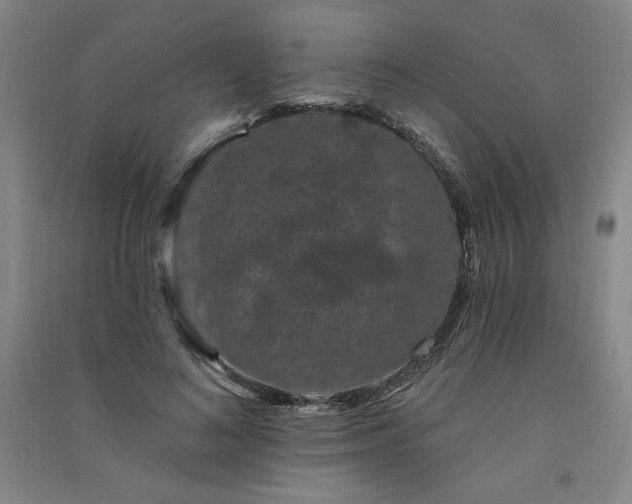 X0000091330692200708171351