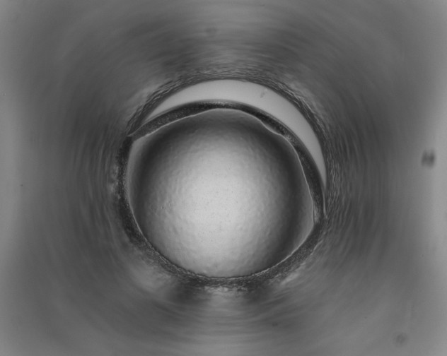 X0000091330693200708171351