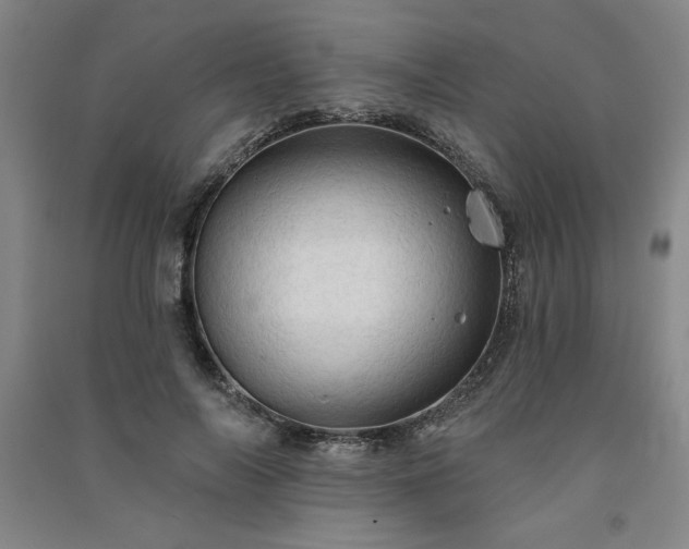 X0000091330694200708171351