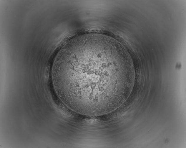 X0000091330695200708171351