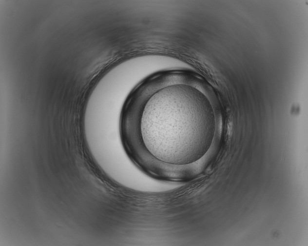 X0000091330696200708171351