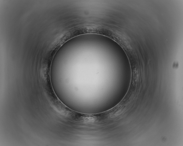 X0000091330698200708171351