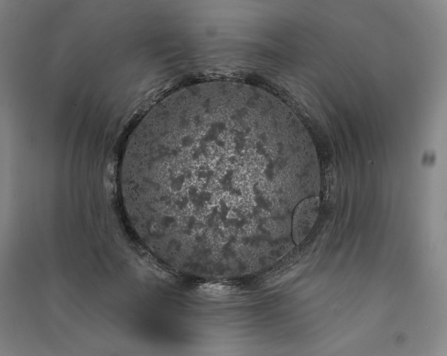 X0000091330699200708171351