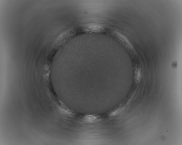 X0000091330701200708171351