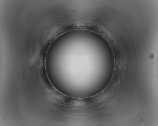 X0000091330702200708171351