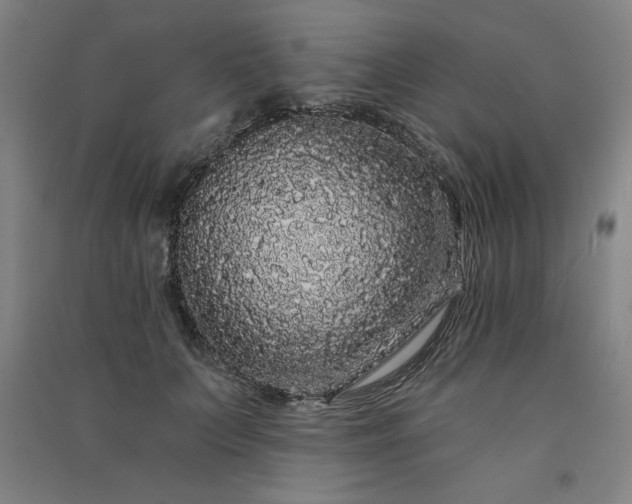 X0000091330703200708171351