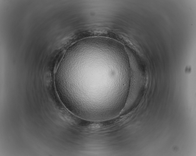 X0000091330704200708171351