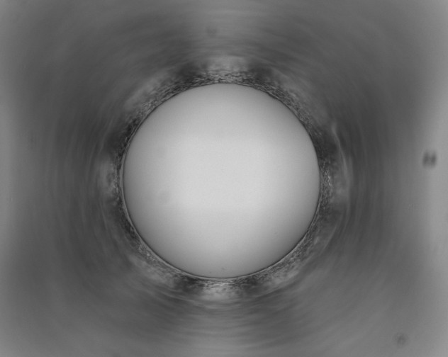 X0000091330705200708171351