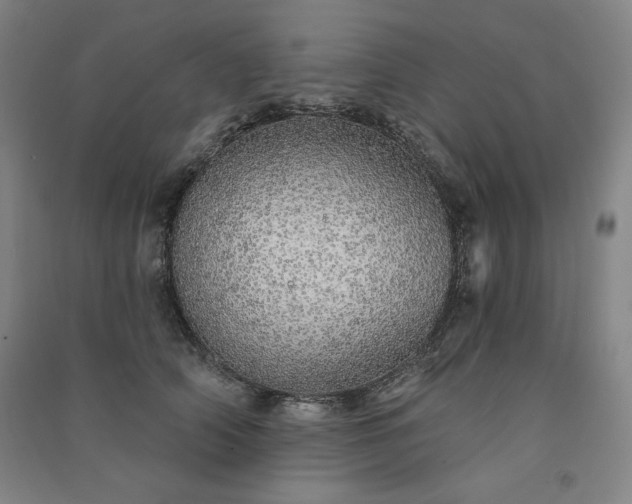 X0000091330706200708171351