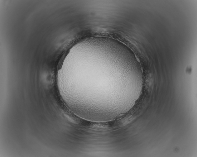 X0000091330708200708171351