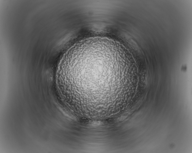 X0000091330710200708171351