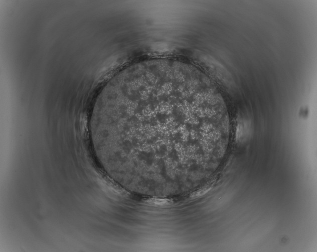 X0000091330711200708171351