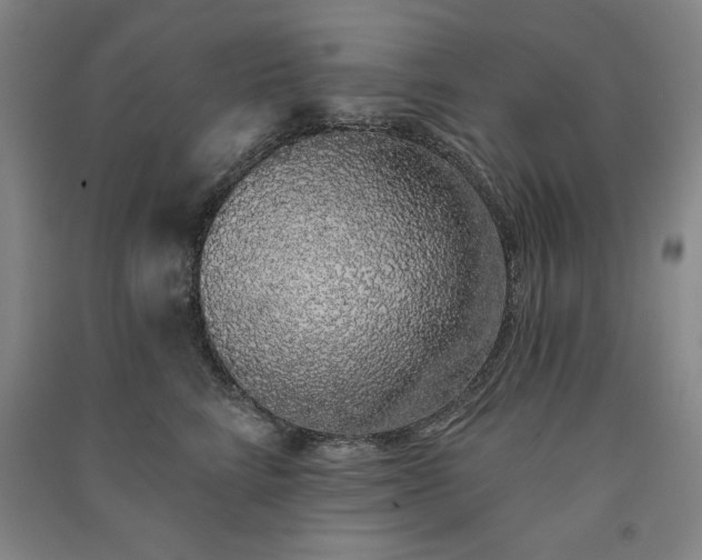 X0000091330712200708171351