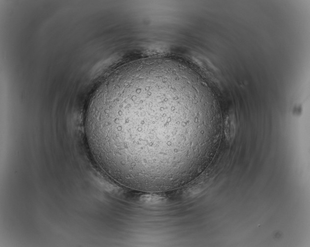 X0000091330714200708171351