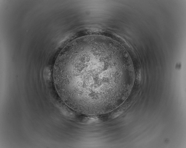 X0000091330715200708171351