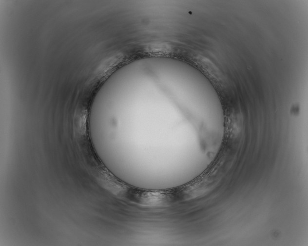 X0000091330717200708171351