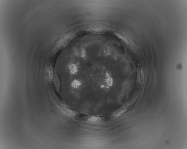 X0000091330718200708171351