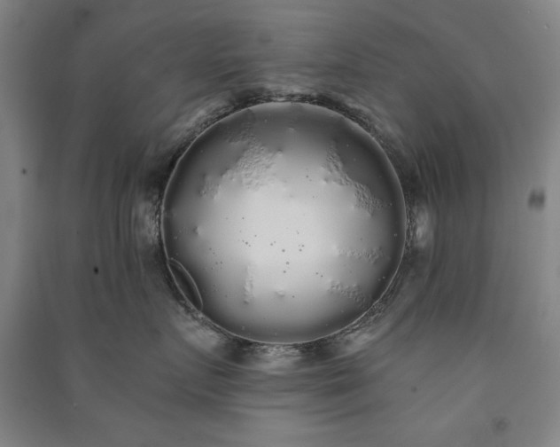 X0000091330719200708171351