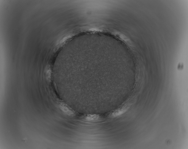 X0000091330720200708171351