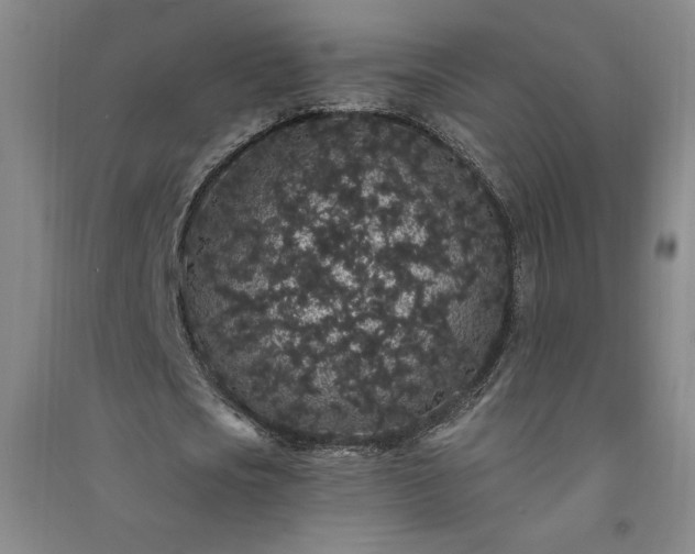 X0000091330721200708171350