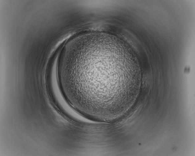 X0000091330722200708171350