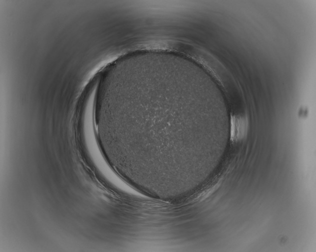 X0000091330723200708171350