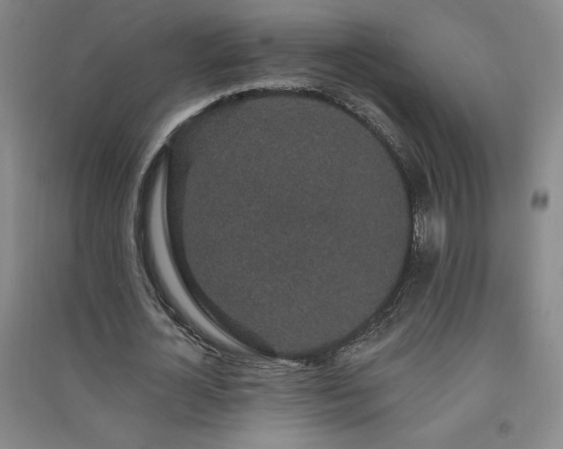 X0000091330724200708171350