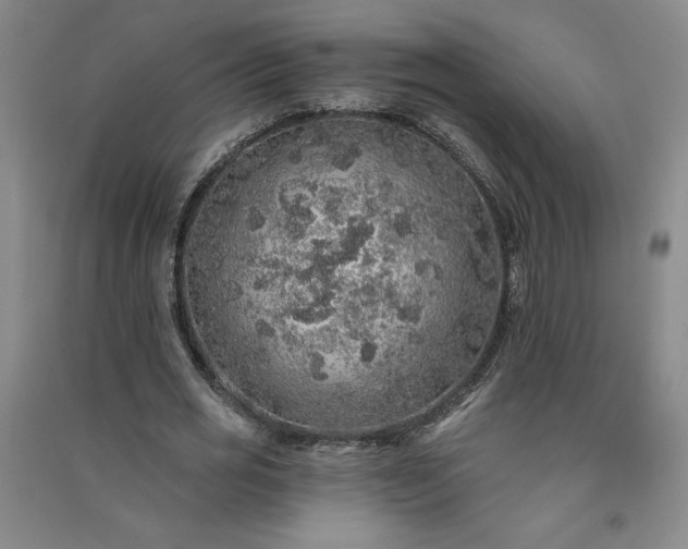 X0000091330725200708171350