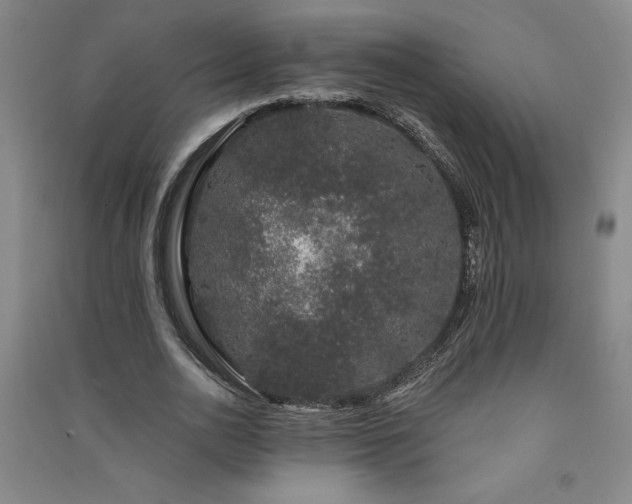 X0000091330726200708171350