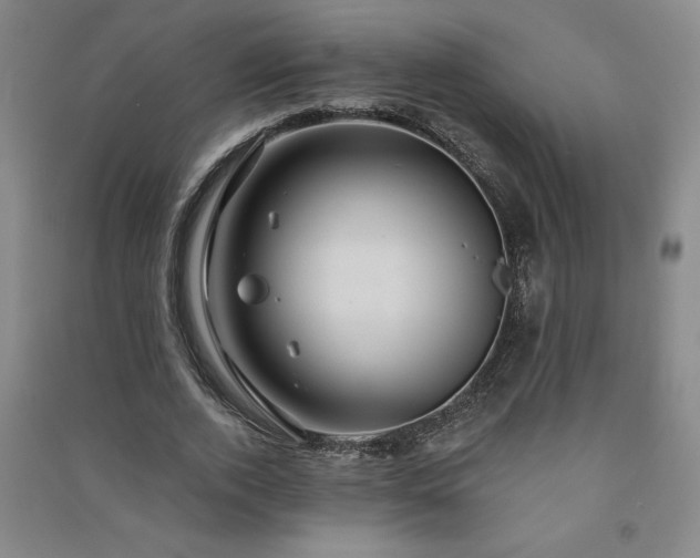 X0000091330728200708171350