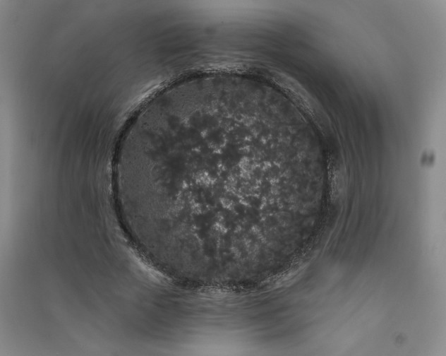 X0000091330729200708171350