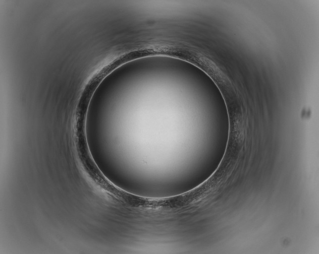 X0000091330730200708171350