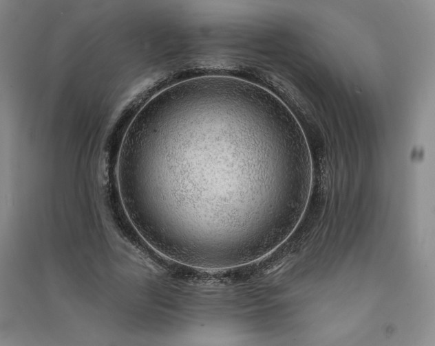 X0000091330731200708171350