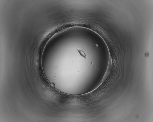 X0000091330732200708171350