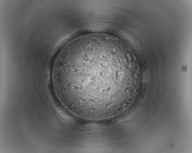 X0000091330733200708171350