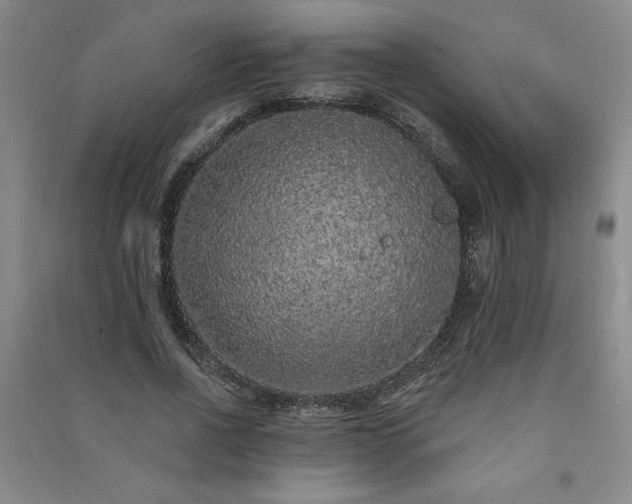 X0000091330734200708171350