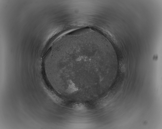 X0000091330735200708171350