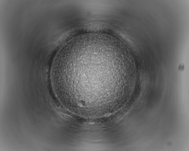 X0000091330737200708171350