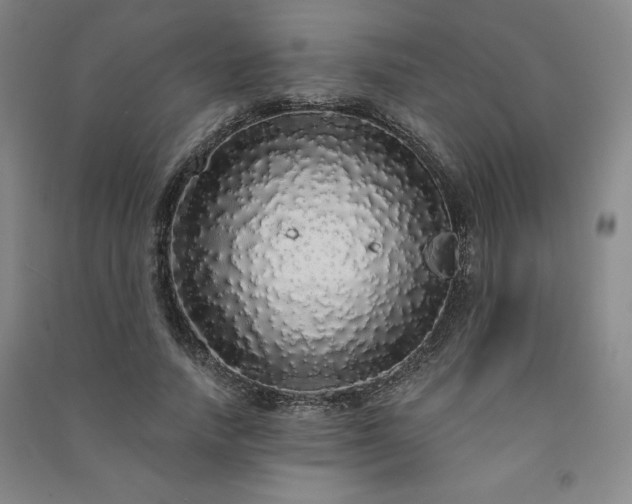 X0000091330738200708171350