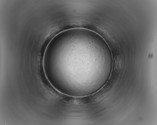 X0000091330739200708171350