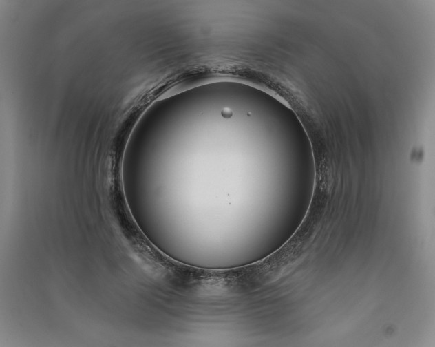 X0000091330740200708171350