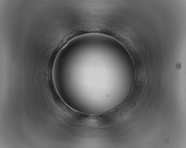 X0000091330743200708171350