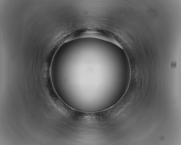 X0000091330744200708171350